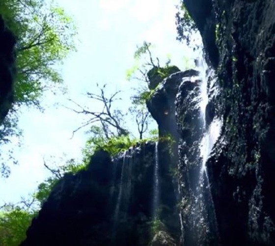 青山綠水，白龍江畔江畔息白鷺，兩岸綠橄欖入眼的都是純樸自然枝上花開(kāi)，春來(lái)水暖魚(yú)蝦戲水，鳥(niǎo)語(yǔ)花香心中充滿(mǎn)著舒暢之感祥宇生態(tài)產(chǎn)業(yè)園，位于隴南市武..